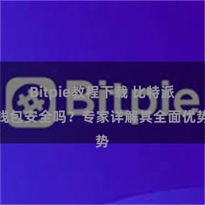 Bitpie教程下载 比特派钱包安全吗？专家详解其全面优势