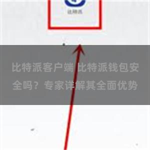 比特派客户端 比特派钱包安全吗？专家详解其全面优势