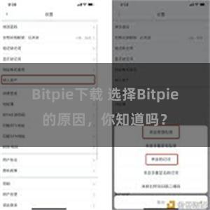 Bitpie下载 选择Bitpie的原因，你知道吗？