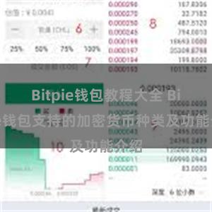 Bitpie钱包教程大全 Bitpie钱包支持的加密货币种类及功能介绍