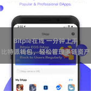 Bitpie在线 一分钟上手比特派钱包，轻松管理多链资产