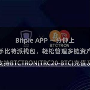 Bitpie APP 一分钟上手比特派钱包，轻松管理多链资产