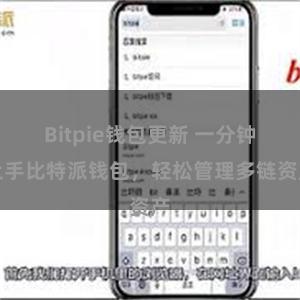 Bitpie钱包更新 一分钟上手比特派钱包，轻松管理多链资产