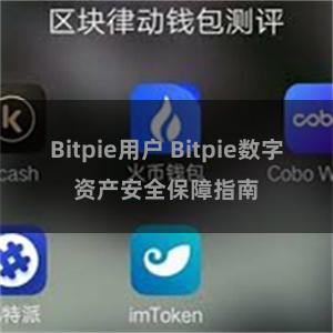 Bitpie用户 Bitpie数字资产安全保障指南