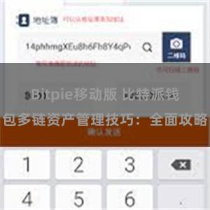 Bitpie移动版 比特派钱包多链资产管理技巧：全面攻略