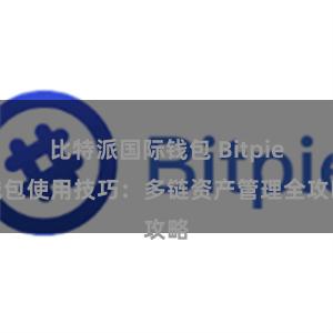 比特派国际钱包 Bitpie钱包使用技巧：多链资产管理全攻略