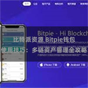 比特派资源 Bitpie钱包使用技巧：多链资产管理全攻略