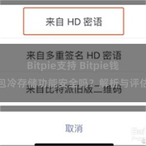 Bitpie支持 Bitpie钱包冷存储功能安全吗？解析与评估