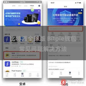 比特派全球版 Bitpie钱包常见问题解决方法