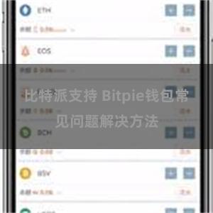 比特派支持 Bitpie钱包常见问题解决方法