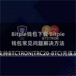 Bitpie钱包下载 Bitpie钱包常见问题解决方法