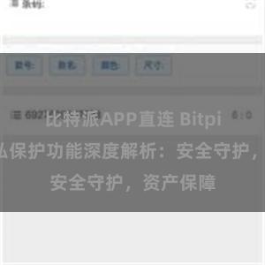 比特派APP直连 Bitpie钱包隐私保护功能深度解析：安全守护，资产保障