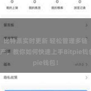 比特派实时更新 轻松管理多链资产，教你如何快速上手Bitpie钱包！