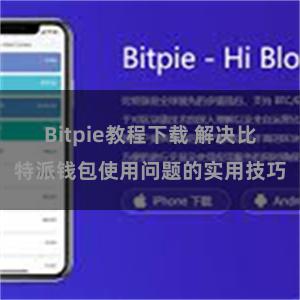 Bitpie教程下载 解决比特派钱包使用问题的实用技巧