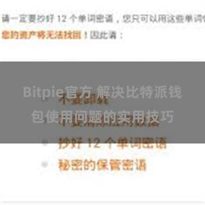 Bitpie官方 解决比特派钱包使用问题的实用技巧