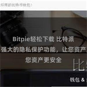 Bitpie轻松下载 比特派钱包：强大的隐私保护功能，让您资产更安全