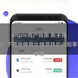 Bitpie用户指南 新手指南：下载并使用比特派钱包必知事项