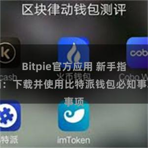 Bitpie官方应用 新手指南：下载并使用比特派钱包必知事项