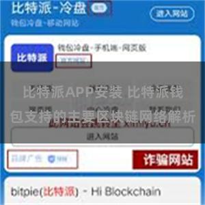 比特派APP安装 比特派钱包支持的主要区块链网络解析