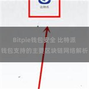 Bitpie钱包安全 比特派钱包支持的主要区块链网络解析