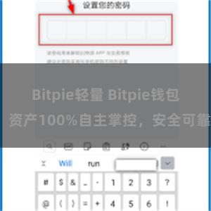 Bitpie轻量 Bitpie钱包：资产100%自主掌控，安全可靠。