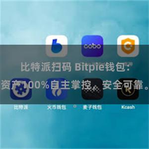 比特派扫码 Bitpie钱包：资产100%自主掌控，安全可靠。