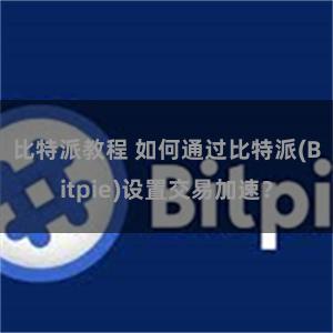 比特派教程 如何通过比特派(Bitpie)设置交易加速？