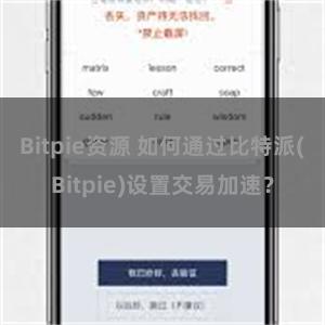 Bitpie资源 如何通过比特派(Bitpie)设置交易加速？