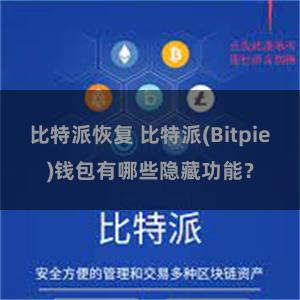 比特派恢复 比特派(Bitpie)钱包有哪些隐藏功能？