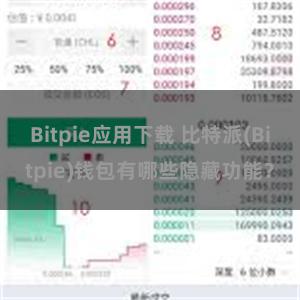 Bitpie应用下载 比特派(Bitpie)钱包有哪些隐藏功能？