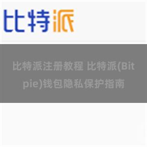 比特派注册教程 比特派(Bitpie)钱包隐私保护指南