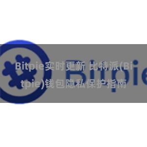 Bitpie实时更新 比特派(Bitpie)钱包隐私保护指南