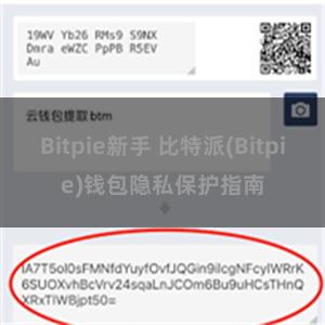 Bitpie新手 比特派(Bitpie)钱包隐私保护指南