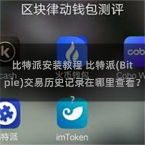 比特派安装教程 比特派(Bitpie)交易历史记录在哪里查看？