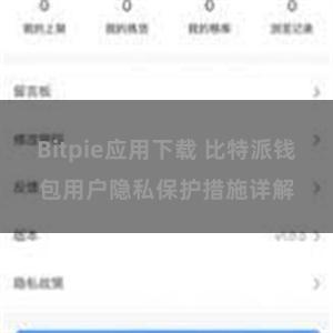 Bitpie应用下载 比特派钱包用户隐私保护措施详解