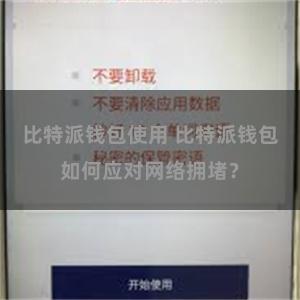 比特派钱包使用 比特派钱包如何应对网络拥堵？