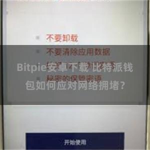 Bitpie安卓下载 比特派钱包如何应对网络拥堵？