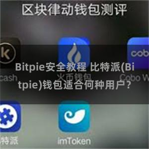 Bitpie安全教程 比特派(Bitpie)钱包适合何种用户？