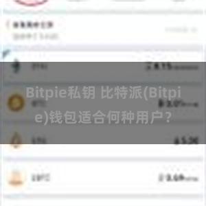 Bitpie私钥 比特派(Bitpie)钱包适合何种用户？