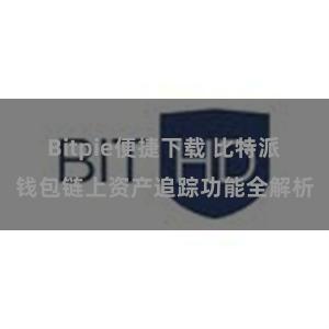 Bitpie便捷下载 比特派钱包链上资产追踪功能全解析