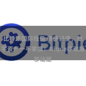 比特派国际钱包 便捷轻便，数字资产一手掌握！Bitpie移动版