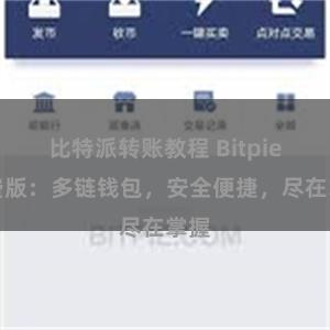 比特派转账教程 Bitpie免费版：多链钱包，安全便捷，尽在掌握