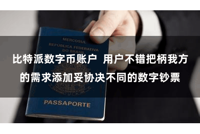 比特派数字币账户  用户不错把柄我方的需求添加妥协决不同的数字钞票