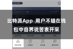 比特派App  用户不错在钱包中自界说苦衷开采